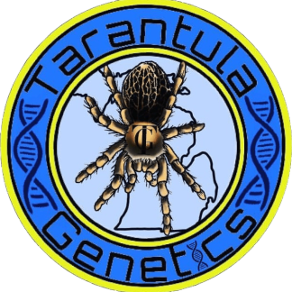 Tarantula Genetics