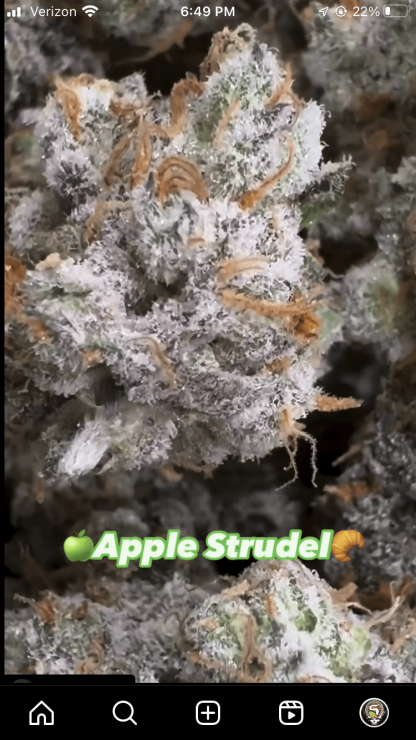 Apple Strudel - Image 2
