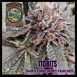 Tidbits