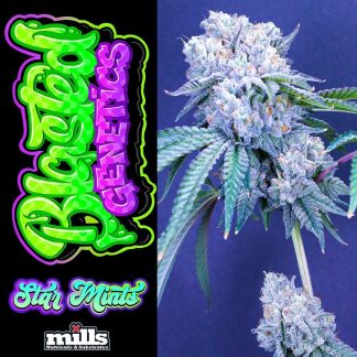 Blasted Genetics