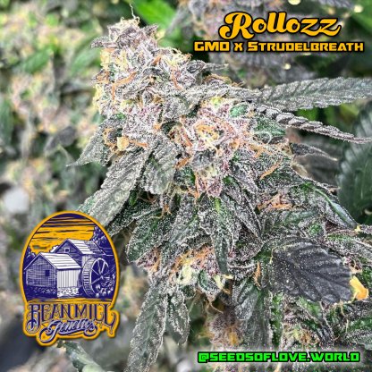 Rollozz - Image 2