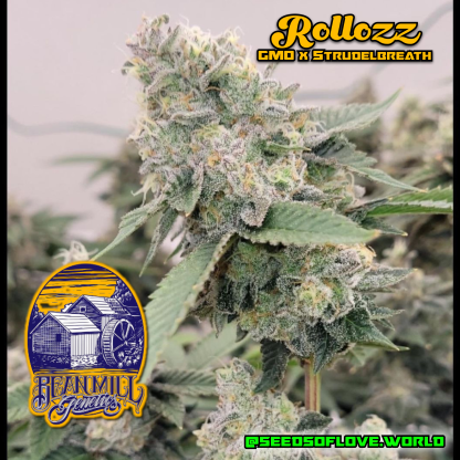 Rollozz - Image 3