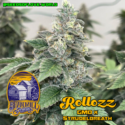 Rollozz - Image 4