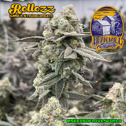 Rollozz - Image 5