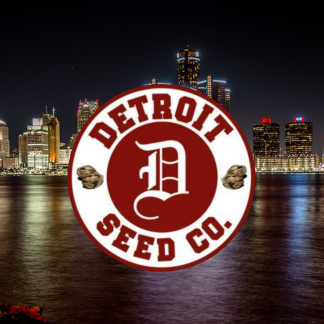Detroit Seed Company
