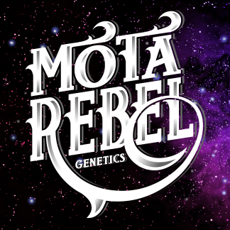 Mota Rebel Genetics