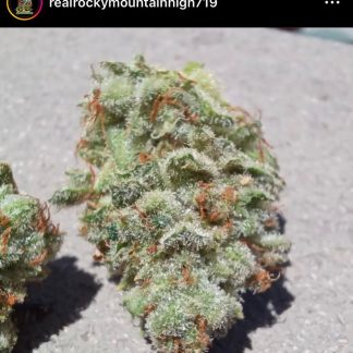 Malibu Ruby Red
