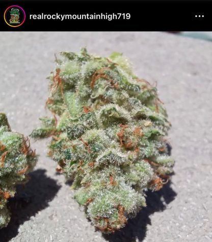 Malibu Ruby Red