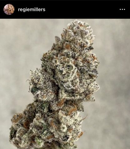 DSC Bomb Pop - Image 4