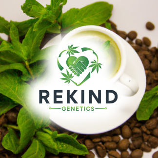 Rekind Genetics