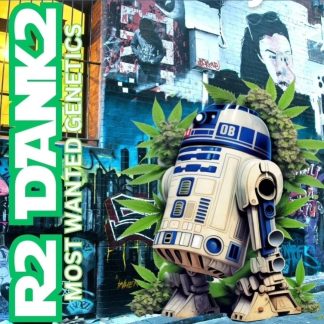 R2 Dank2