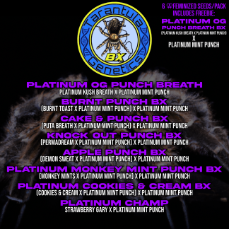 Platinum Monkey Mint Punch Bx