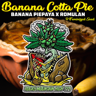 Banana Cotta Pie (HALF)