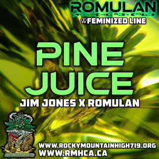 Pine Juice (HALF)
