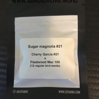 Sugar Magnolia #21
