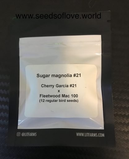 Sugar Magnolia #21