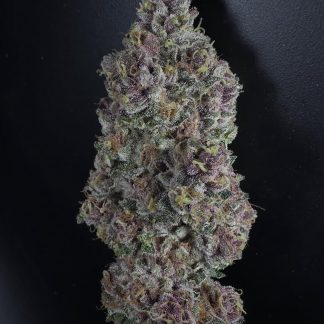 Mendo Zkittle