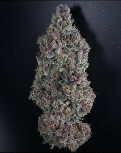Mendo Zkittle