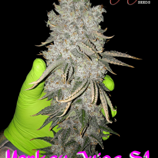 Monkey Juice S1