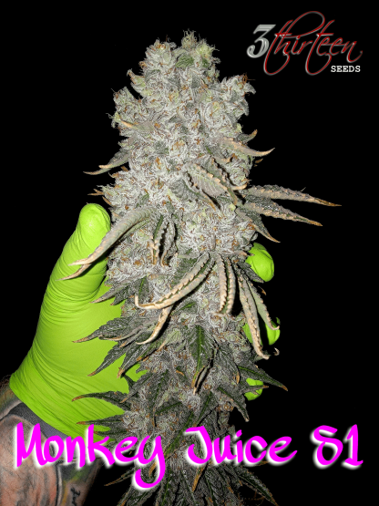Monkey Juice S1