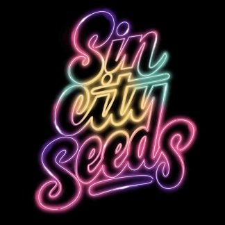 Sin City Seeds