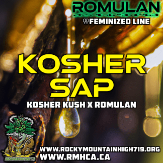 Kosher Sap