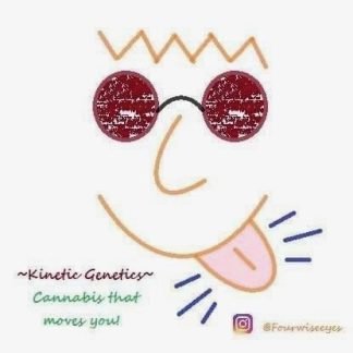 Kinetic Genetics