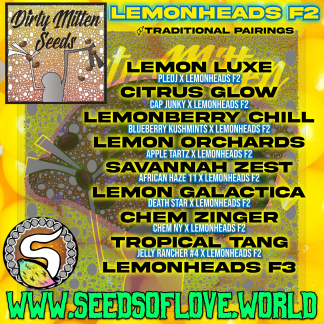 Lemonberry Chill