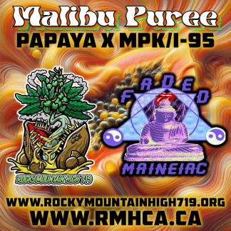 Malibu Puree