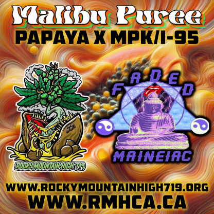 Malibu Puree