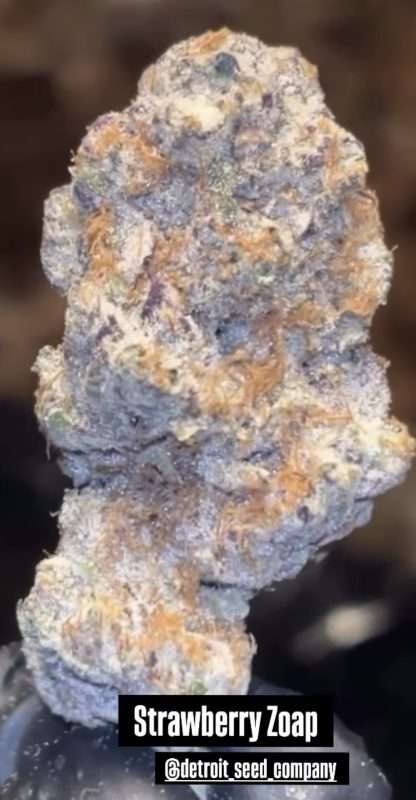 Strawberry Zoap - Image 2