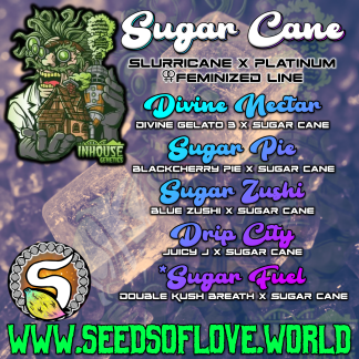 Sugar Fuel