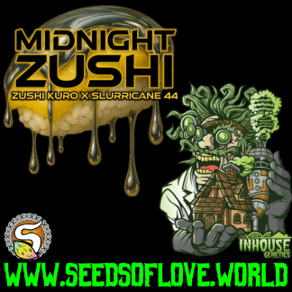 Midnight Zushi