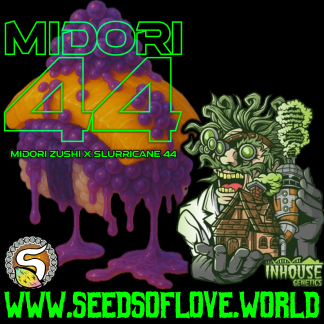 Midori 44