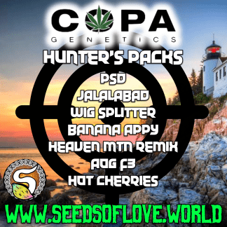 Heaven Mountain Remix - Hunt Pack