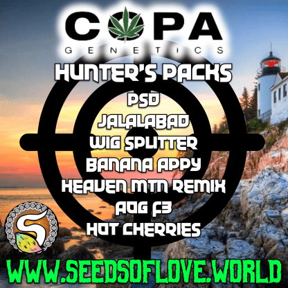 Wig Splitter - Hunt Pack