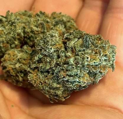 Blue Guavaz (3⚢)