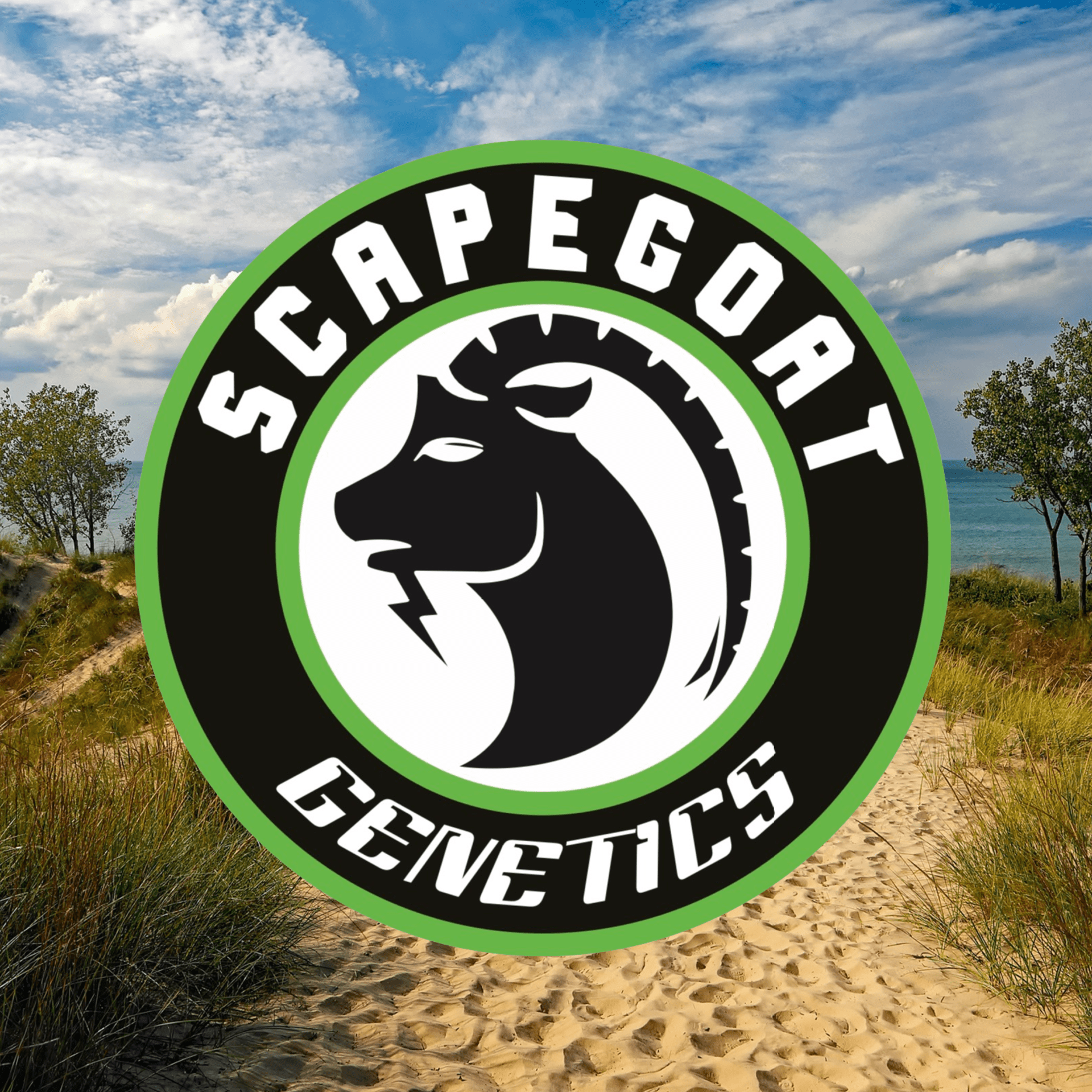 Scapegoat Genetics
