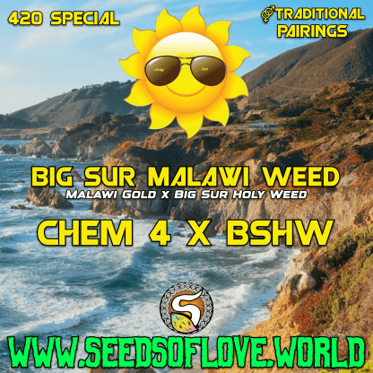 Big Sur Skunky Weed