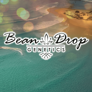 Beandrop Genetics