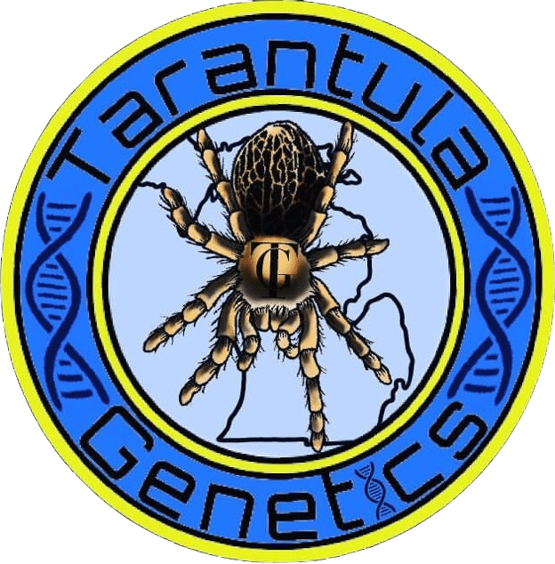 Tarantula Genetics